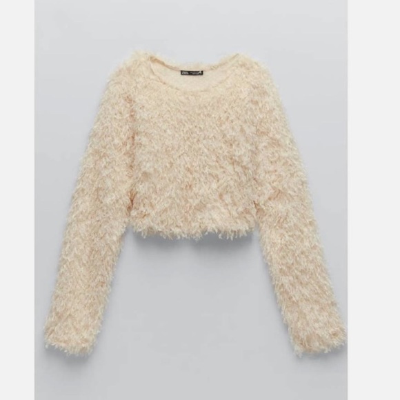 Zara Top - Picture 1 of 3